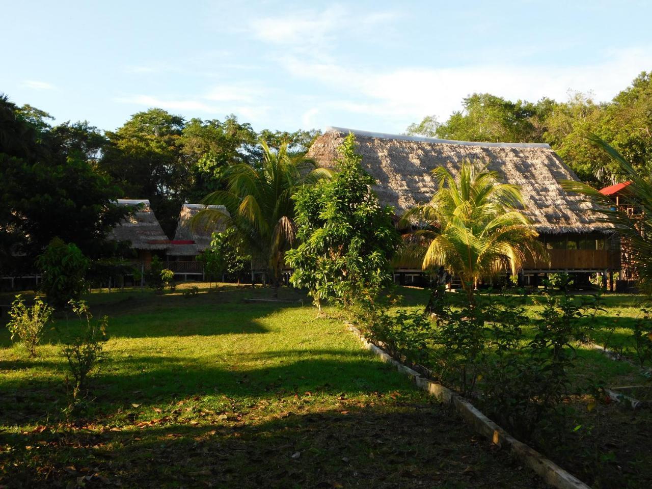 Intillama Jungle Lodge Eirl Паукарпата Экстерьер фото