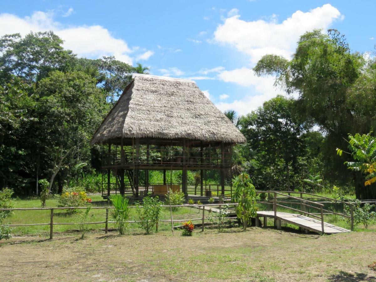 Intillama Jungle Lodge Eirl Паукарпата Экстерьер фото
