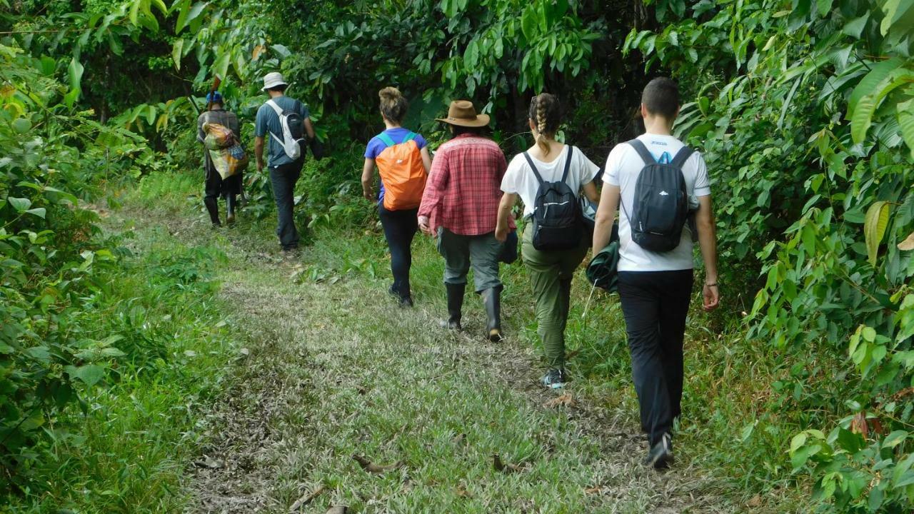 Intillama Jungle Lodge Eirl Паукарпата Экстерьер фото